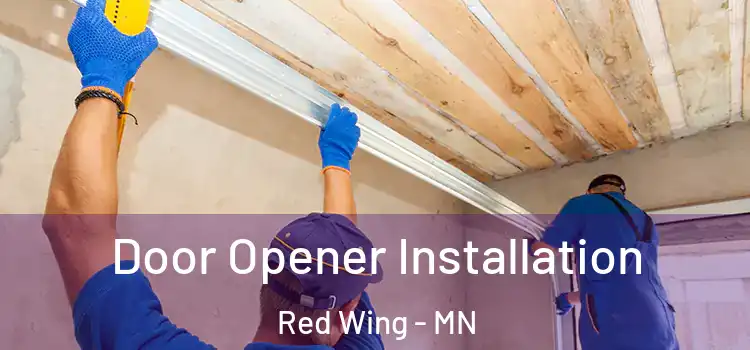 Door Opener Installation Red Wing - MN