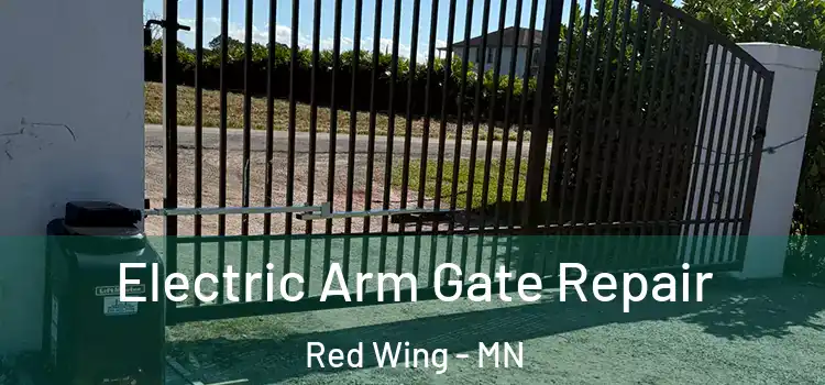  Electric Arm Gate Repair Red Wing - MN