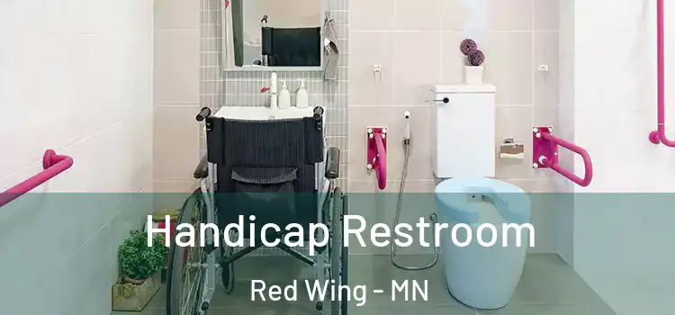Handicap Restroom Red Wing - MN