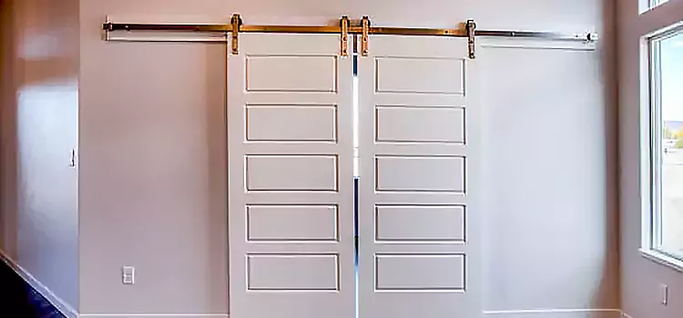 Glass Barn Door with Installation Hardware Kit Red Wing